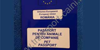 Model pasaport transport-caini.net