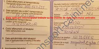 Model pasaport transport-caini.net