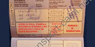 Model pasaport transport-caini.net