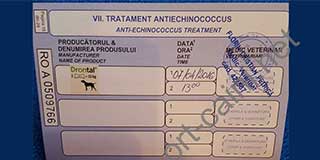 Model pasaport transport-caini.net