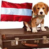 Transport Caini Austria