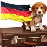 Transport Caini Germania