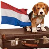 Transport Caini Olanda