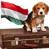 Transport Caini Ungaria